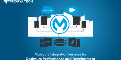 Mulesoft Integration & Development
